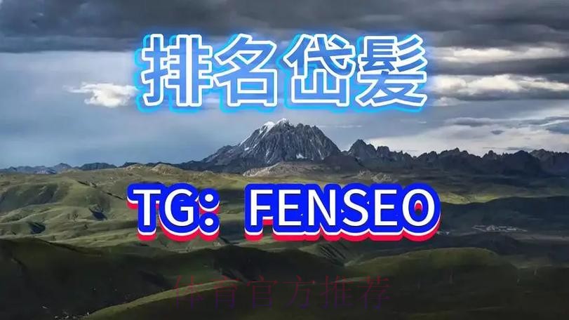 全面解析世界杯买球平台大全及推荐